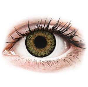 FreshLook One Day Color - nedioptrické (10 čoček) Pure Hazel