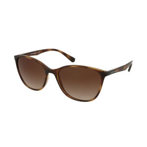 Emporio Armani EA4073 502613
