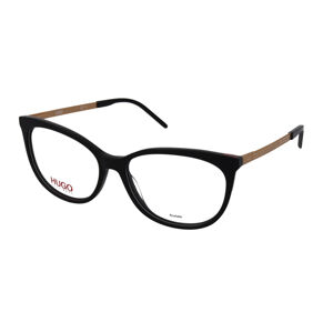 Hugo Boss HG 1082 807
