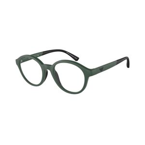 Emporio Armani EA3202 5058
