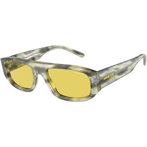 Arnette Gullwing AN4292 121685 - ONE SIZE (55)